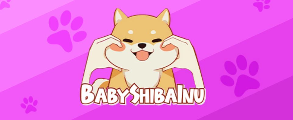 how to buy baby shiba inu , how is shiba coin doing today